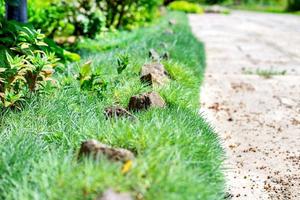 garden design outdoor photo