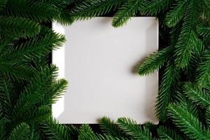 Top view of white plate surrounded with fir tree branches. Christmas dinner concept with copy space photo