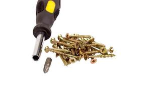 Screws and screwdriver isolated photo