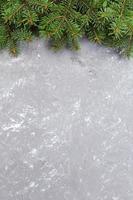 Christmas gray cement background with fir tree and copy space. top view empty space for your design photo