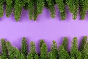 Top view of green fir tree branches on colorful background. New year holiday concept with empty space for your design photo
