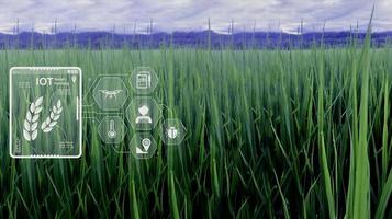 Agriculture technology farmer man using tablet Modern technology concept agriculture. photo