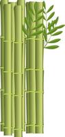 Bamboo sticks, illustration, vector on white background