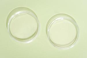 two empty petri dishes on green background. copy space. medical or pharmaceutical laboratory equipment, study and research in biotechnology and health care product development, top view photo