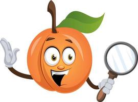 Apricot with magnifier tool, illustration, vector on white background.