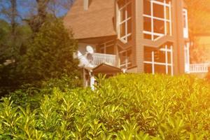 rustic house with a green hedge. sunny weather photo