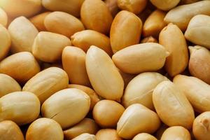 Peanut texture. food background of peanuts beans. photo