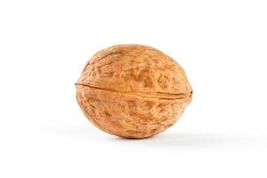 Walnut on white isolated background, clipping path, full depth of field photo