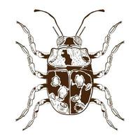 bug flat isolated vector