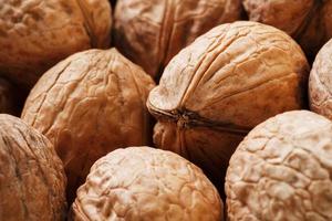 Natural Walnuts in shell background dramatic contrast photo