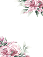 rosa aquarellblumenrahmen png