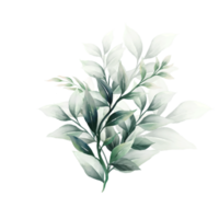 Bouquet of watercolor leaves png