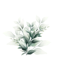 bouquet de feuilles d'aquarelle png