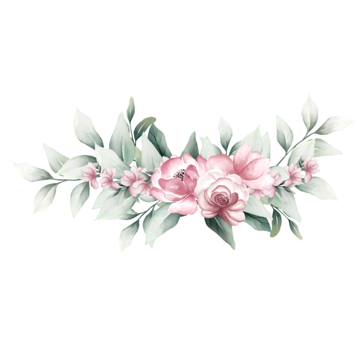 Pink Roses PNGs for Free Download
