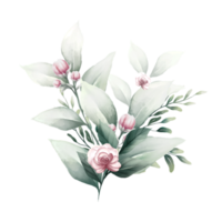 mazzo di rosa acquerello fiori png