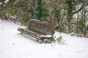 wooden bench in park with snow in winter photo