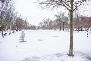 city park meadow with snow in winter photo