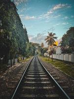 Railway in the jungle. photo