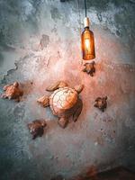 Wood carved turtle arts on a wall. photo