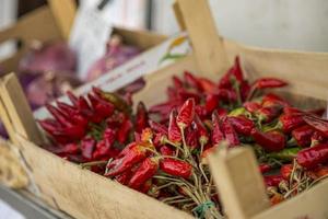 cajas de madera llenas de chiles rojos brillantes en el mercado abierto en italia. foto