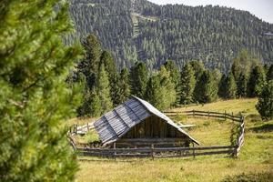 una vieja cabaña junto al bosque de montaña. cabaña de madera en las montañas. cabaña de madera de montaña. cabaña en las montañas. foto