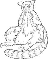 Lemur. Black and white vector drawing. For illustrations and colouring books.