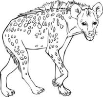 Hyena. Black and white vector drawing. For illustrations and colouring books.