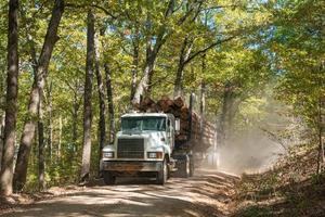 Hot Springs, AR, USA, 2022 - A logging truck driving on a narrow gravel road through a forest in autumn. photo