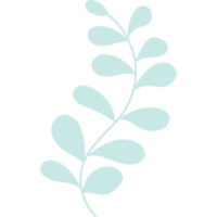 underwater plant. Seaweed png