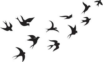 Birds, illustration, vector on white background.