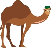 Camel with hat, illustration, vector on white background.