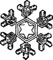 Snow Crystals, vintage illustration. vector