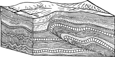 Thrust Fault into Fold, vintage illustration. vector