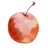 acuarela ilustración manzana roja png