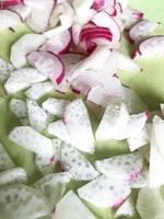 Fresh radish white and red sliced in slices on a green background. Photo Side view. Vertical format