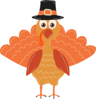 Feliz día de acción de gracias. pavo de dibujos animados en un sombrero de peregrino. png