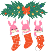 Draw character cute rabbits sleep in Christmas sock for Christmas day and new year.Draw doodle cartoon style. All elements are isolated png
