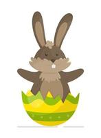 The rabbit sits in the shell of an Easter egg. Vector illustration of an Easter isolated banner. Fluffy rabbit on white background