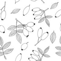 rosehip berries and leaves seamless pattern hand drawn in doodle style. Suitable for wallpaper, textile, wrapping paper, background. sketch, monochrome, minimalism, scandinavian vector