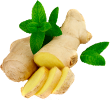 ginger sliced with leaf png