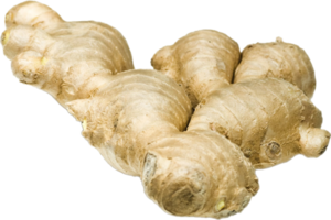 ginger on transparent background png