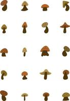 Organic mushroom, illustration, vector on a white background.