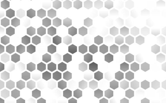 Light Silver, Gray vector texture with colorful hexagons.