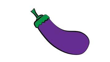 eggplant on a white background, vector illustration. purple eggplant. vegetable for salad and eating. delicious eggplant for baking in the oven. hearty healthy food