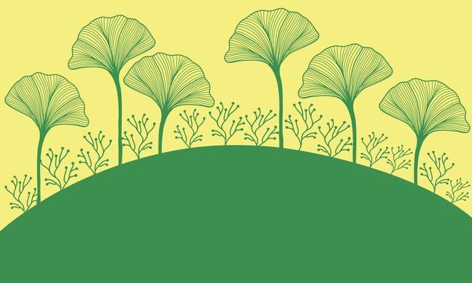 Ginkgo leave yellow green background landscape scenery