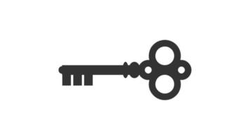 Key icon isolated on white background. vector