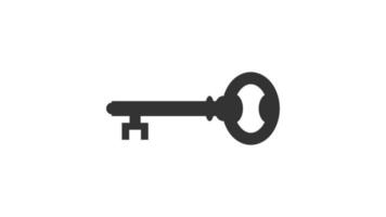 Key icon isolated on white background. vector