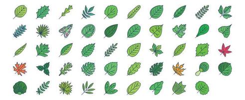 Collection of icons related to Leaf, including icons like Alder, Arugula, Aspen, Ash, Banana and more. vector illustrations, Pixel Perfect set