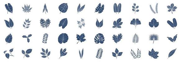 Collection of icons related to Leaves, including icons like Anthurium, Aralia, Aspidistra, Chestnut, Citrus and more. vector illustrations, Pixel Perfect set