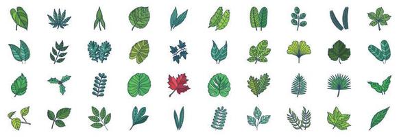 Collection of icons related to Leaves, including icons like Anthurium, Aralia, Aspidistra, Chestnut, Citrus and more. vector illustrations, Pixel Perfect set